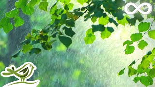 My Love Soft Piano Music amp Rain Sounds For Sleep Relaxation amp Focus [upl. by Tilden459]