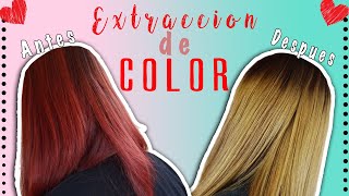 👩🏼‍🦰Como Quitar El Tinte Rojo Del Cabello FACIL ❤ Extraccion De Color  Scarleths Beauty Box [upl. by Landy]