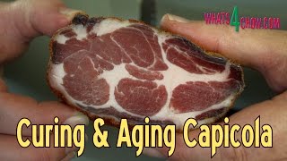 How to Cure amp Age Capicola  Homemade Capicola  Perfect Charcuterie [upl. by Oirretno]