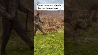 Some days are better simply then others 😂😵😒 shorts viral funny [upl. by Htabazile632]