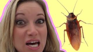 Roaches in Butter Prank [upl. by Acacia]