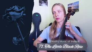 The Little Black Rose 2nd setting ONeills Music of Ireland no 71 [upl. by Phillada]