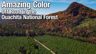 Amazing Color Offroad in the Ouachita National Forest [upl. by Chapin]