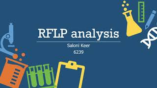 RFLP analysis [upl. by Beverlee]