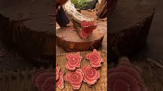 OMG this tree is so awesome 😲 fruitcutting video viralvideo shortvideo shorts [upl. by Sletten391]