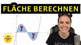 FLÄCHE berechnen INTEGRAL – Integralrechnung Flächenberechnung [upl. by Gothard523]