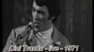 Dini Trandu  Rock Starmpg [upl. by Ielarol615]