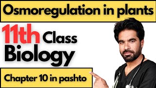 Osmoregulation in plants  Class 11th biology  Chapter 10 [upl. by Mal]