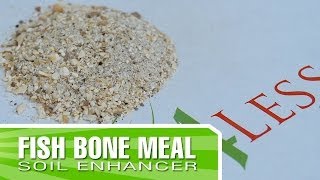 Fish Bone Meal  How to apply and why you should use it [upl. by Eob]