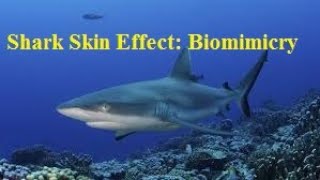 Shark Skin Effect Biomimicry  Nature Pro [upl. by Janna379]