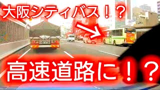 【高速道路に路線バス！？】大阪シティバスが阪神高速道路に！？ [upl. by Lraed]