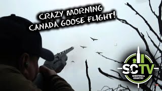 SampC TV  Canada goose control mission Superb morning flight [upl. by Christiano]