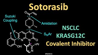 Sotorasib – Mechanism of Action and Synthesis [upl. by Ylimme990]