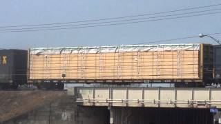 Xtra Long CSX Manifest Train on Elevated Tracks [upl. by Ayatan844]