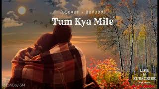 Tum Kya Mile Slowed  Reverb  Arijit Singh  Shreya Ghoshal  Lofi Boy [upl. by Anatole996]