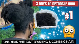 How to detangle MATTED Natural Hair feat As I Am Coconut Cowash [upl. by Johnathan]