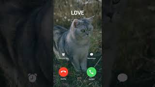 smartphone ringtone music iphone ios foryou youtubeshorts applemusicringtones apple cat [upl. by Reyaht]