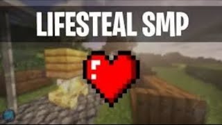 so I made a youtubers lifesteal smp [upl. by Imeaj]