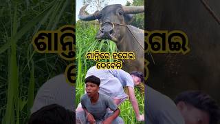 ଏବେ ୟାର କଣ କଲି 😂 shorts viral trending natiacomedy odiacomedy [upl. by Ramona]