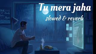 Tu mera jaha song  new latest song  tu mera jaha lofi songs  new songs [upl. by Yerfoeg]