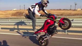 Stance On Honda MSX 125 Grom Part 9 Stand Up Wheelie [upl. by Kenward112]