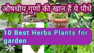 10 herbs plant for garden10 औषधीय पौधे गार्डन में जरूर लगायेmadicinalplanthome garden [upl. by Eimmit]