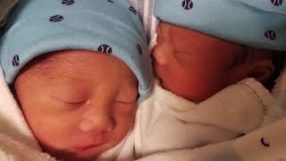 Monochorionic Diamniotic Twins I Identical Twins I Share the Same Placenta I TWINventures [upl. by Aerdna481]