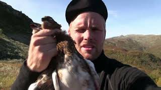 Trailer  Rypejakt i Rypas Rike 2 Ptarmigan Hunting  Grouse Hunting [upl. by Theone933]