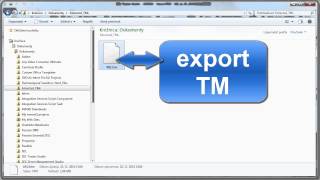SDL Trados Studio  export amp import TM [upl. by Suirtemid]