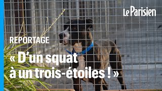 Près de 250 chiens et chats obligés de quitter le plus vieux refuge de la SPA [upl. by Abeh78]