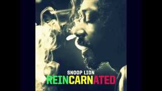 Snoop Lion  No Regrets ft TI amp Amber Coffman [upl. by Nicoli149]