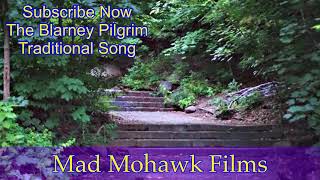 The Blarney Pilgrim Old Traditional Song reimagined [upl. by Geraldina]