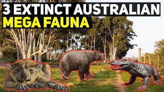 3 Extinct Australian Mega Fauna [upl. by Aerdnad]