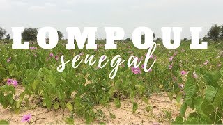 Lompoul Senegal [upl. by Katherin]