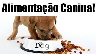 Alimentação do seu cão Ração petiscos e água para seu cachorro 1 Parte  Lói Cúrcio [upl. by Nospmoht225]