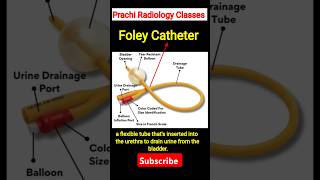 shorts foleycatheter catheter procedure science medicalimaging trending shortsfeed [upl. by Nylave850]