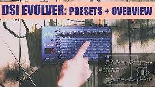 Dave Smith Instruments Evolver Presets  Overview [upl. by Eiliab767]