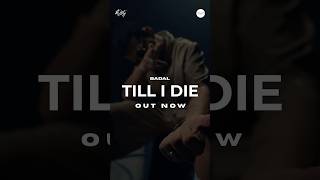 Till I Die is OUT NOW  Badals New Album  Not Your Type TillIDie NotYouType [upl. by Haimorej366]