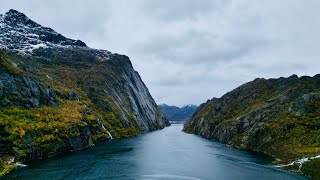 精靈峽灣｜ Trollfjord ｜lofoten ｜挪威 ｜DRONE ｜ Norway [upl. by Nabetse]