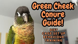 Green Cheek Conure Guide  Conure Care Guide  Diet Cage Behaviour Training  TheParrotTeacher [upl. by Runstadler]