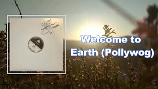 Sturgill Simpson  Welcome to Earth Pollywog Lyrics [upl. by Annirac736]