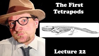 Lecture 22 The First Tetrapods [upl. by Sew414]