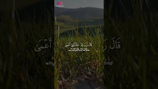 Beatiful Quran recitation by Islam Sobhi  Surah Taha [upl. by Nosila]