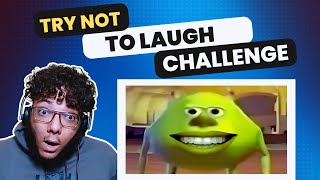 Can You Beat The Challenge TRY NOT TO LAUGH HILARIOIUS MEMES [upl. by Latona]