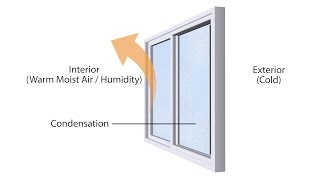 How to Reduce Interior Condensation on Your Windows  Anlin Windows amp Doors [upl. by Lupiv]