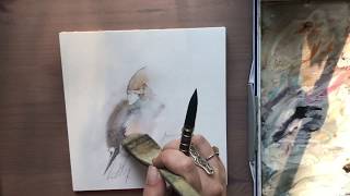 Watercolor painting of waxwing bird by CanotStop [upl. by Moynahan979]