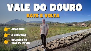 Passeio bate e volta nas Vinícolas no Vale do Douro em Portugal [upl. by Ellynn]