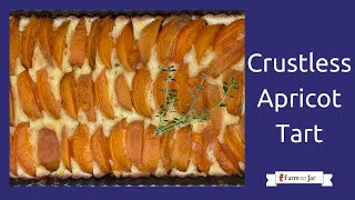 Low Carb Crustless Apricot Frangipane Tart [upl. by Gildea]