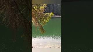 🐟 Explorez le Lac des Corbeaux à La Bresse  Une Aventure au Cœur des Hautes Vosges 🌲🌳 [upl. by Shaffert]