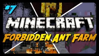 Forbidden Ant Farm Survival  Ep 7  ENDERMAN RAGE [upl. by Anora966]